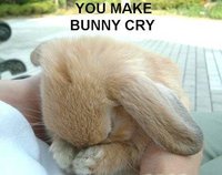 Click image for larger version

Name:	bunny cry.JPG
Views:	207
Size:	25.2 KB
ID:	214543