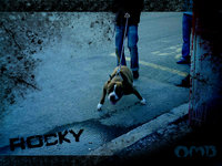 Click image for larger version

Name:	rocky.jpg
Views:	71
Size:	450.1 KB
ID:	262681
