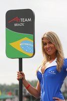 Click image for larger version

Name:	gridgirl-at-newzealand-a1gp-race_81.jpg
Views:	85
Size:	317.7 KB
ID:	768600