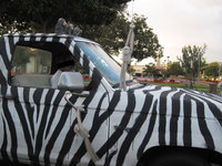 Click image for larger version

Name:	zebra-car_2927.jpg
Views:	44
Size:	44.3 KB
ID:	2270938