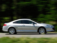 Click image for larger version

Name:	Peugeot_407_93-1024.jpg
Views:	269
Size:	103.3 KB
ID:	656859
