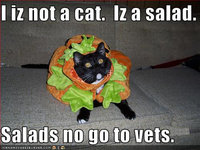 Click image for larger version

Name:	funny-pictures-cat-pretends-to-be-a-salad.jpg
Views:	74
Size:	47.0 KB
ID:	991424