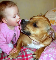 Click image for larger version

Name:	kiddog.jpg
Views:	53
Size:	20.5 KB
ID:	1246364