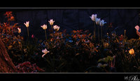 Click image for larger version

Name:	night_garden_1024.jpg
Views:	155
Size:	113.0 KB
ID:	535119