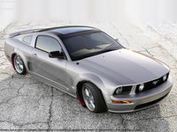 Click image for larger version

Name:	mustang 1.jpg
Views:	114
Size:	1.12 MB
ID:	582904