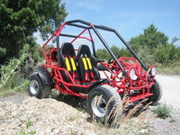 Click image for larger version

Name:	Buggy%20Go-Kart.jpg
Views:	294
Size:	114.3 KB
ID:	387449