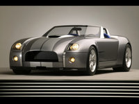 Click image for larger version

Name:	cobra-shelby.jpg
Views:	38
Size:	133.9 KB
ID:	1990756
