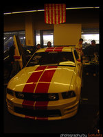 Click image for larger version

Name:	Mustang1.jpg
Views:	84
Size:	124.9 KB
ID:	253507