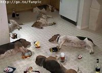 Click image for larger version

Name:	dogafterparty.jpg
Views:	1014
Size:	18.9 KB
ID:	153971