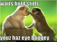 Click image for larger version

Name:	cute-puppy-pictures-eye-boogey.jpg
Views:	102
Size:	30.7 KB
ID:	1801296