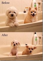 Click image for larger version

Name:	before-after_thumb[1].jpg
Views:	97
Size:	62.7 KB
ID:	992795