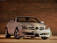 Click image for larger version

Name:	Mercedes-Benz-SLK-Class_2008_1024x768_wallpaper_01.jpg
Views:	38
Size:	185.9 KB
ID:	428236