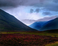 Click image for larger version

Name:	World_Scotland_Aviemore_007809_.jpg
Views:	38
Size:	558.8 KB
ID:	1050326