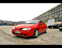 Click image for larger version

Name:	Megane Rally (2).jpg
Views:	168
Size:	186.3 KB
ID:	1352554