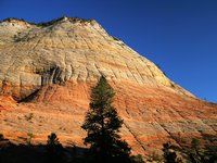 Click image for larger version

Name:	Checkerboard Mesa, Zion National Park, Utah.jpg
Views:	34
Size:	501.9 KB
ID:	1159355