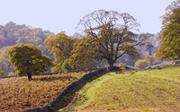 Click image for larger version

Name:	autumn-countryside-bradgate.jpg
Views:	39
Size:	334.8 KB
ID:	1056555