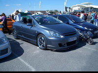 Click image for larger version

Name:	Peugeot319_b.jpg
Views:	332
Size:	79.1 KB
ID:	649967
