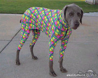 Click image for larger version

Name:	pajama dog.jpg
Views:	85
Size:	72.9 KB
ID:	1314952