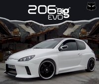 Click image for larger version

Name:	206_big_evo_tuning_kit_evo_vvvv.jpg
Views:	394
Size:	94.1 KB
ID:	650100