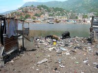 Click image for larger version

Name:	Waste_dumping_in_a_slum_of_Cap-Haitien.jpg
Views:	125
Size:	1.60 MB
ID:	2587361