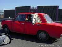Click image for larger version

Name:	caballo_en_coche.jpg
Views:	220
Size:	21.1 KB
ID:	10169