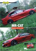 Click image for larger version

Name:	Mr Cat - 1.JPG
Views:	306
Size:	3.40 MB
ID:	980954