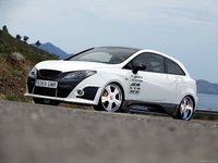 Click image for larger version

Name:	Seat-Ibiza_Bocanegra wip.jpg
Views:	161
Size:	68.2 KB
ID:	1001071