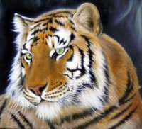 Click image for larger version

Name:	iuliu p airbrush tiger.JPG
Views:	111
Size:	128.6 KB
ID:	1420387