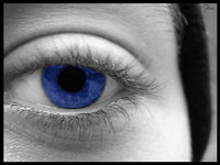 Click image for larger version

Name:	my eye.jpg
Views:	42
Size:	964.6 KB
ID:	395748