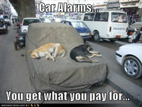 Click image for larger version

Name:	funny-dog-pictures-car-alarms.jpg
Views:	259
Size:	32.5 KB
ID:	1620591
