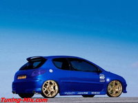 Click image for larger version

Name:	Peugeot 206 Tuning.jpg
Views:	77
Size:	67.6 KB
ID:	1147856