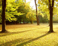 Click image for larger version

Name:	Autumn.jpg
Views:	110
Size:	1.09 MB
ID:	964759