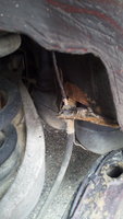 Click image for larger version

Name:	IMG_20220615_183429.jpg
Views:	77
Size:	897.4 KB
ID:	3218951