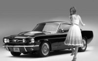 Click image for larger version

Name:	mustang.jpg
Views:	77
Size:	150.6 KB
ID:	1746046