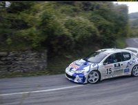 Click image for larger version

Name:	pics-max-16204-336754-2001-peugeot-206-wrc.jpg
Views:	303
Size:	96.7 KB
ID:	706806