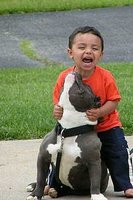 Click image for larger version

Name:	pitbull-and-child-759940_Full.jpg
Views:	70
Size:	23.3 KB
ID:	1246370