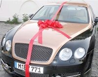 Click image for larger version

Name:	Bentley_preview.jpg
Views:	204
Size:	38.6 KB
ID:	1378695