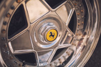 Click image for larger version

Name:	autostrada-modena-ferrari-polished.jpg
Views:	26
Size:	630.4 KB
ID:	3044132