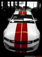 Click image for larger version

Name:	Mustang10.jpg
Views:	37
Size:	122.2 KB
ID:	252453