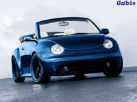 Click image for larger version

Name:	Volkswagen-Beetle copy.jpg
Views:	75
Size:	711.5 KB
ID:	1173071