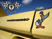 Click image for larger version

Name:	roadrunner1024.jpg
Views:	40
Size:	133.9 KB
ID:	378014