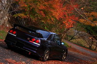 Click image for larger version

Name:	r33 nismo purple te37.jpg
Views:	73
Size:	279.0 KB
ID:	1269885