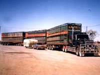 Click image for larger version

Name:	164Road_Train.jpg
Views:	253
Size:	31.5 KB
ID:	626044