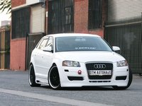 Click image for larger version

Name:	eurp_0709_01_z+2007_audi_a3+front.jpg
Views:	52
Size:	56.6 KB
ID:	1206543