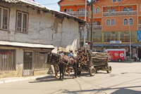 Click image for larger version

Name:	Horses_in_Mitrovica.jpg
Views:	105
Size:	501.4 KB
ID:	2641700