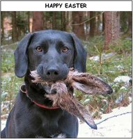 Click image for larger version

Name:	A_Happy_Easter.jpg
Views:	153
Size:	97.9 KB
ID:	882983