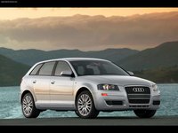 Click image for larger version

Name:	audi_a3_20t_2006_1600x1200_wallpaper_01_799.jpg
Views:	29
Size:	116.4 KB
ID:	327782