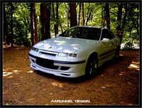 Click image for larger version

Name:	calibra1.jpg
Views:	75
Size:	1.06 MB
ID:	270821