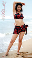 Click image for larger version

Name:	01Swimsuit 02.jpg
Views:	83
Size:	115.9 KB
ID:	411989