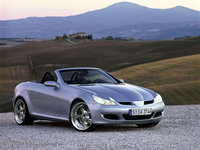 Click image for larger version

Name:	Mercedes-Benz-SLK350_2005_1600x1200_wallpaper_04.jpg
Views:	65
Size:	517.1 KB
ID:	2611270